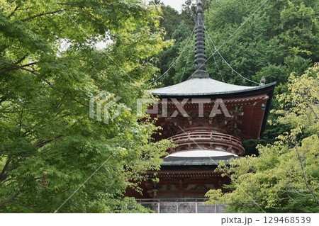 法輪寺の青もみじ 法輪寺の青もみじ 129468539
