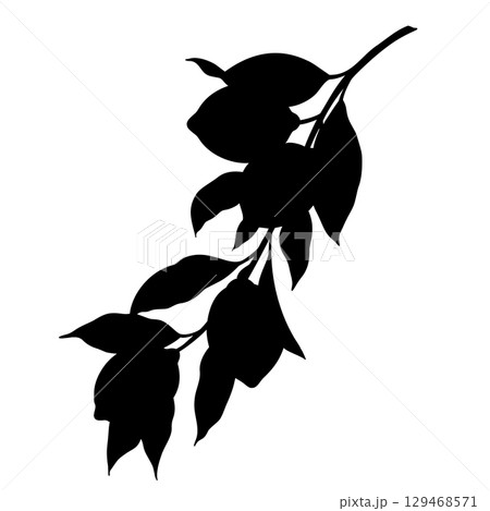 Vector Silhouette of Lemon branch with leaves and fruits. Black filled shape of limes for cutting machines, packaging, print decor or product branding. Illustration painted by black inks. Vector Silhouette of Lemon branch with leaves and fruits. Black filled shape of limes for cutting machines, packaging, print decor or product branding. Illustration painted by black inks. 129468571