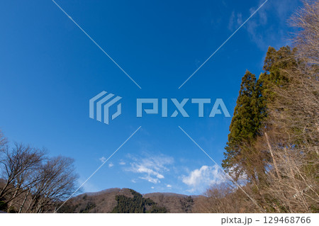 冬の山並みと木立、澄み渡る青空の風景 冬の山並みと木立、澄み渡る青空の風景 129468766
