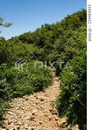 栃木県那須連山の登山道の風景 129468855