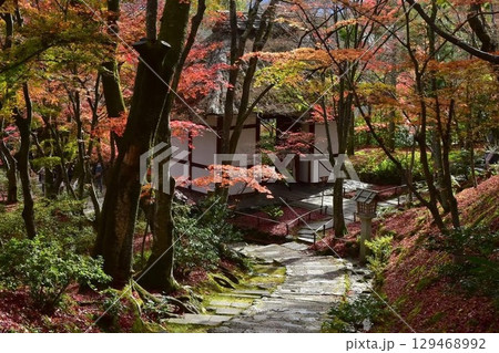 常寂光寺の紅葉 129468992