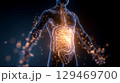 Human silhouette illustrates glowing stomach and brain connection with microscopic gut bacteria surrounding the figure 129469700