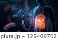 Human silhouette displays glowing brain and stomach connection surrounded by microscopic gut bacteria 129469702