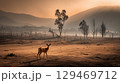 Deer standing alone in a desolate landscape at sunset, surrounded by barren trees and distant mountains 129469712