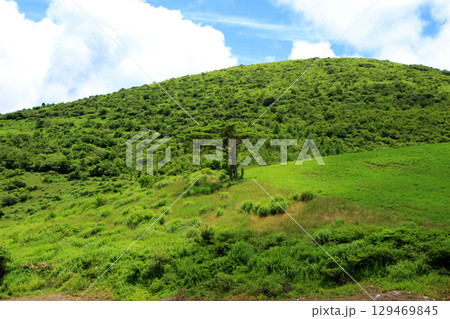 夏の草原のある風景 129469845
