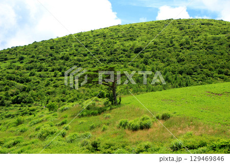 夏の草原のある風景 129469846