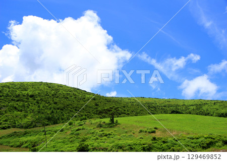夏の草原のある風景 129469852