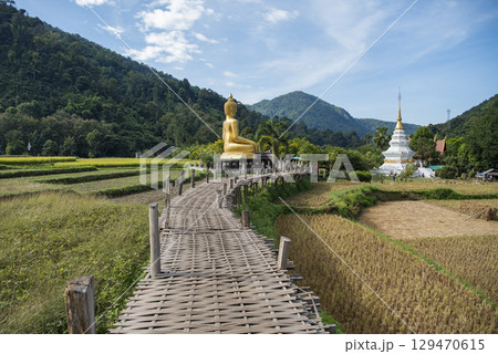 THAILAND PHRAE WAT NA KHU HA BUDDHA 129470615