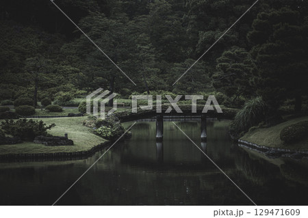 雨の日の六義園　東京都文京区 129471609