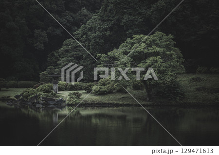 雨の日の六義園　東京都文京区 129471613