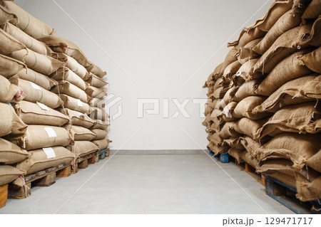 Jute Coffee Bags Filled With Fresh Coffee Beans Neatly Stacked in Warehouse Against White Wall With Ample Free Space Jute Coffee Bags Filled With Fresh Coffee Beans Neatly Stacked in Warehouse Against White Wall With Ample Free Space 129471717