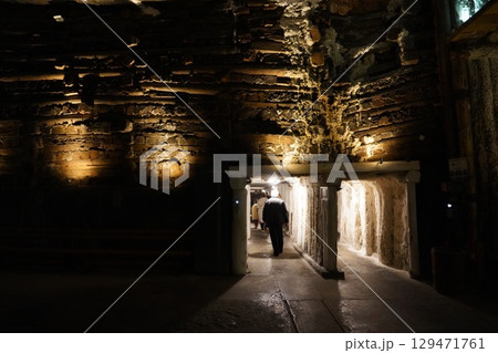 ポーランドの京都クラクフ旧市街地周辺風景 129471761