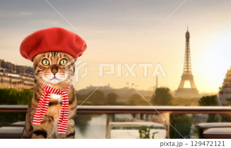 Stylish Bengal cat in red beret and striped scarf poses against Parisian backdrop. Stylish Bengal cat in red beret and striped scarf poses against Parisian backdrop. 129472121