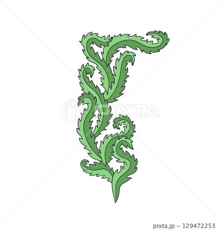 Elegant curvy green seaweed hand drawn vector illustration. Vintage line art marine botany design 129472253
