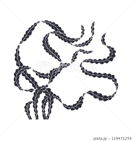 Elegant curvy seaweed hand drawn monochrome vector illustration 129472254