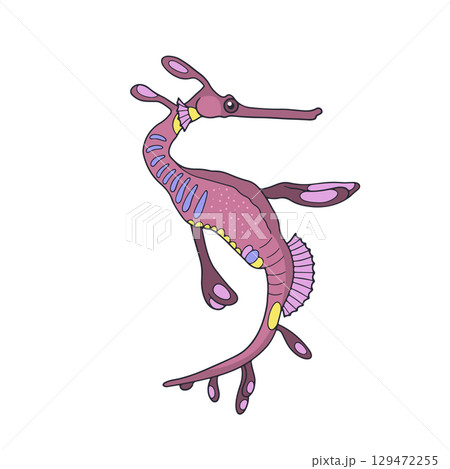 Hand drawn purple cartoon seadragon isolated on white background vector illustration 129472255