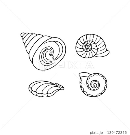 Sea shell hand drawn black and white line art vector illustration set 129472256
