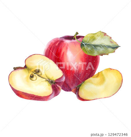 Watercolor illustration of red apples with slices and a green leaf in realistic style. for food packaging, juice branding organic product labels, cookbooks kitchen decor and seasonal promotions. Watercolor illustration of red apples with slices and a green leaf in realistic style. for food packaging, juice branding organic product labels, cookbooks kitchen decor and seasonal promotions. 129472346