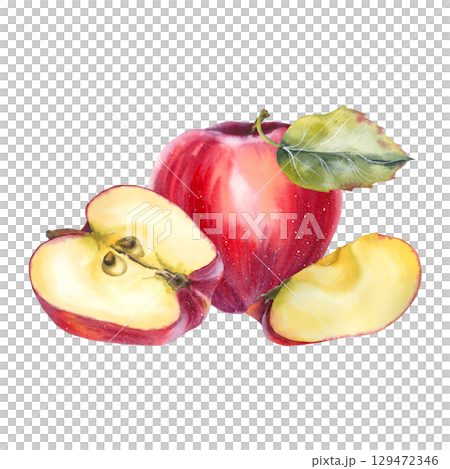 Watercolor illustration of red apples with slices and a green leaf in realistic style. for food packaging, juice branding organic product labels, cookbooks kitchen decor and seasonal promotions. 129472346