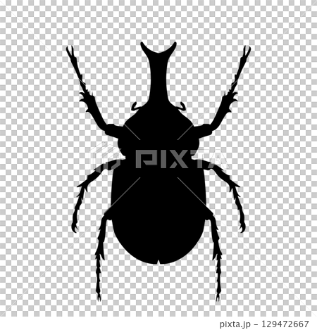 Rhino Beetle Silhouette Animal 129472667
