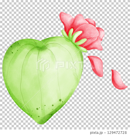 Cactus with flowers 129472728