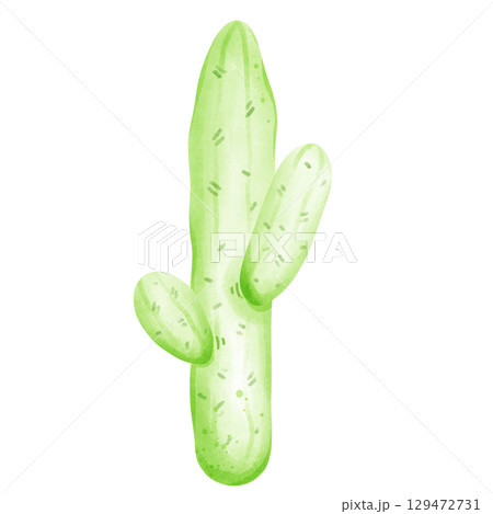 Cactus with flowers 129472731