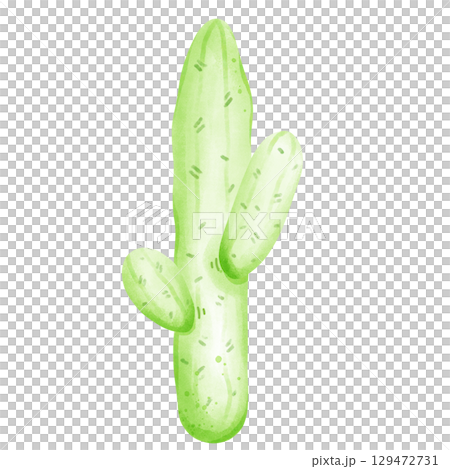 Cactus with flowers 129472731