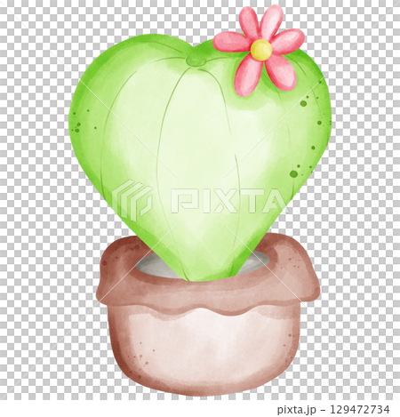 Cactus with flowers 129472734