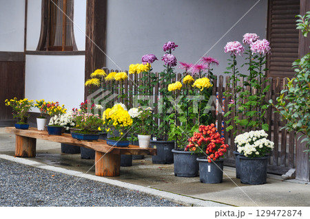 大原　三千院　美しい風景　(京都府京都市左京区） 129472874