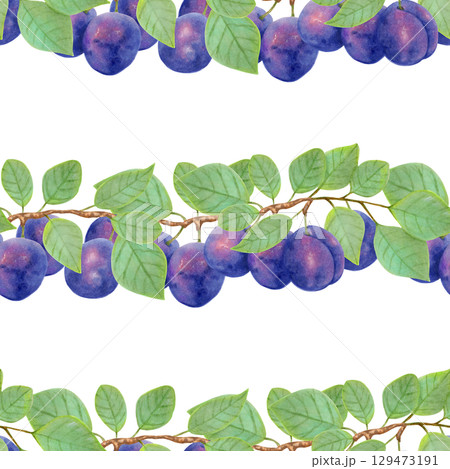 Branch of purple plum with leaves and whole fruits. Seamless pattern. Watercolor illustration. Fruit background for menu design, textile, fabric. Harvesting, production. Hand drawn isolated art. 129473191