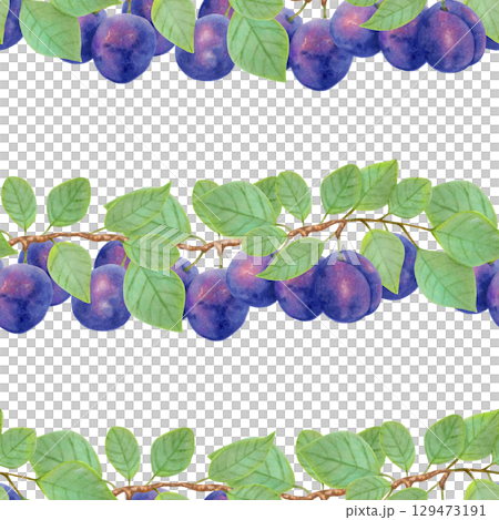 Branch of purple plum with leaves and whole fruits. Seamless pattern. Watercolor illustration. Fruit background for menu design, textile, fabric. Harvesting, production. Hand drawn isolated art. 129473191
