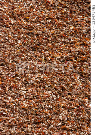 秋の陽光に輝く落ち葉のテクスチャ背景素材 129473465