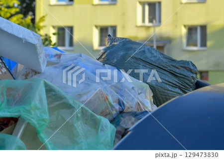 View of colorful waste containers. Multicolored garbage containers filled with trash. The concept of waste and sustainable life and the environment. View of colorful waste containers. Multicolored garbage containers filled with trash. The concept of waste and sustainable life and the environment. 129473830