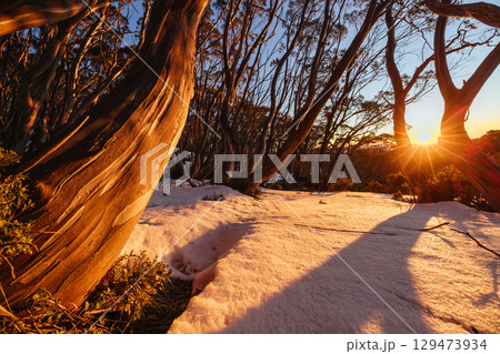 Mt St Gwinear Sunrise in Australia 129473934