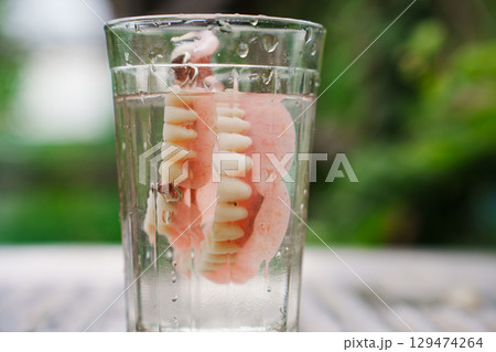 false jaw in a faceted glass of water. false jaw in a faceted glass of water. 129474264