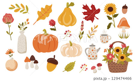 Autumn set of isolated elements. Collection of fall yellow and orange maples, oaks and other leaves, pumpkins, sunflowers, acorn, mushrooms, rowan, vases, flower basket, more. Vector illustration. 129474466
