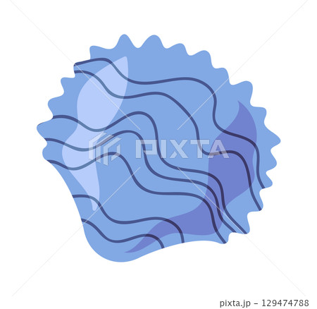 Sea shell underwater scallop design 129474788