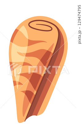 Spotted mussels nautical sea shell Spotted mussels nautical sea shell 129474795