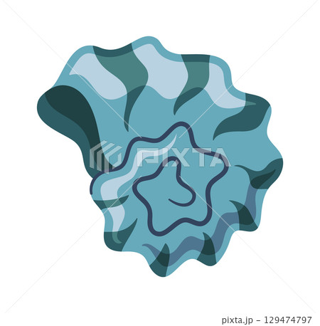 Aquatic spiral seashell swirled clam 129474797