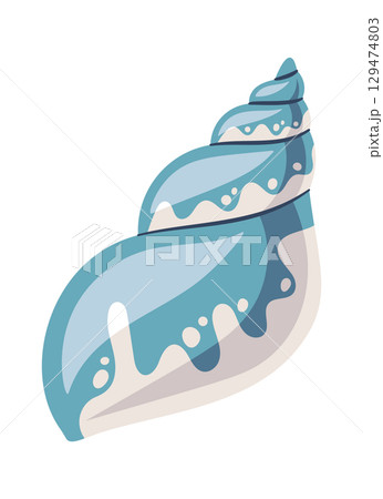 Spiral seashell exotic marine mollusk 129474803