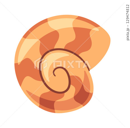 Nautical oceanic spiral nautilus shell 129474812