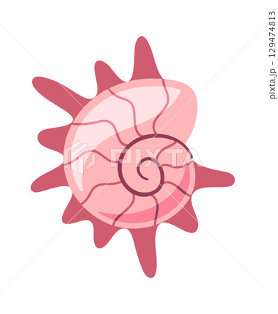Prickly spiral sea shell element Prickly spiral sea shell element 129474813