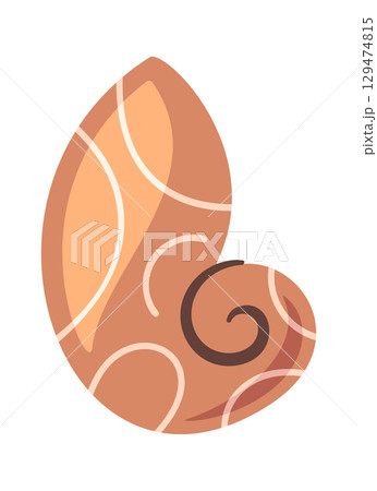 Spiral seashell mollusk animal element 129474815