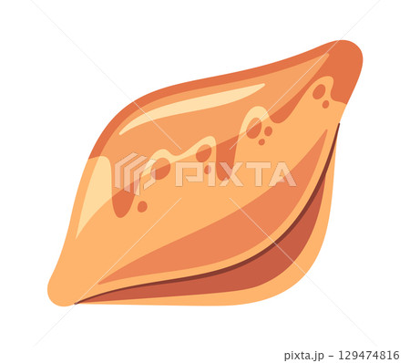 Cowrie mussels sea shell element 129474816