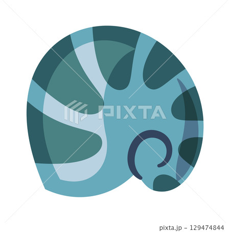 Nautilus sea shell exotic element 129474844