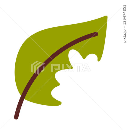 Seasonal leaf biodegradable compost material 129474853