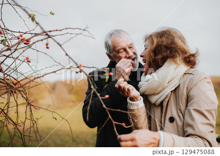 Elderly couple harvesting rose hips in fall nature. 129475088