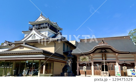 秋晴れの青空に映える岡崎城天守閣と龍城神社拝殿〈岡崎城公園/愛知県岡崎市〉 129475329