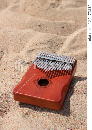 Kalimba on Sandy Shoreline 129475830