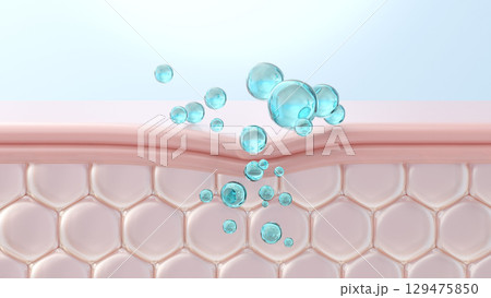 ヒアルロン酸の美容液が角質層の奥深くまで浸透する様子の断面図CG ヒアルロン酸の美容液が角質層の奥深くまで浸透する様子の断面図CG 129475850